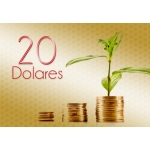 Donacion Bronce - 20 USD